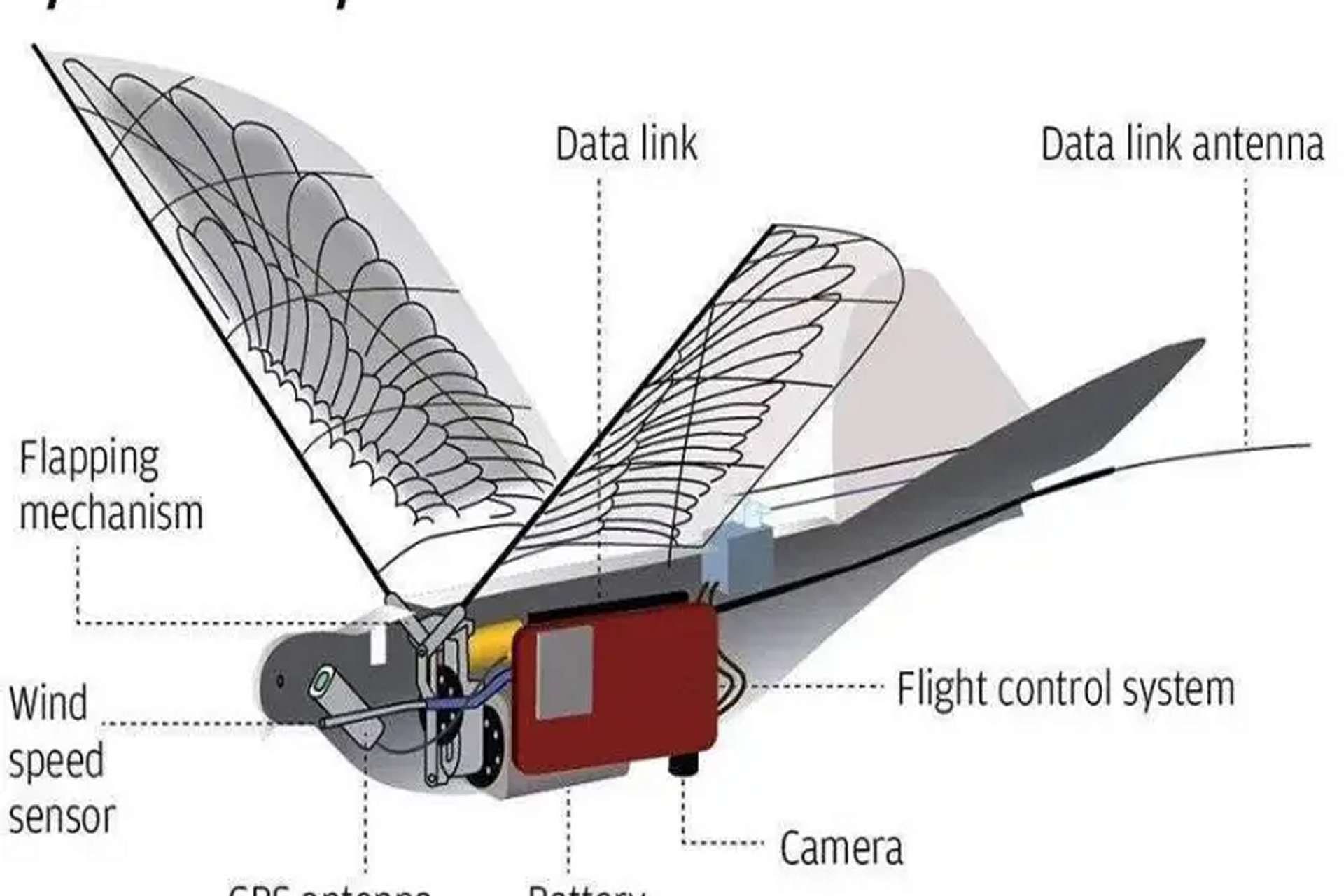 Çin'in Yenilikçi Kuş Şeklindeki Drone'u