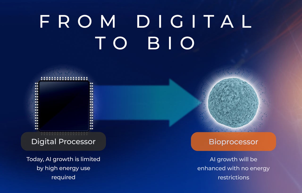 Neuroplatform: Biyo-Bilişimde Devrim Yaratacak Yeni Teknoloji