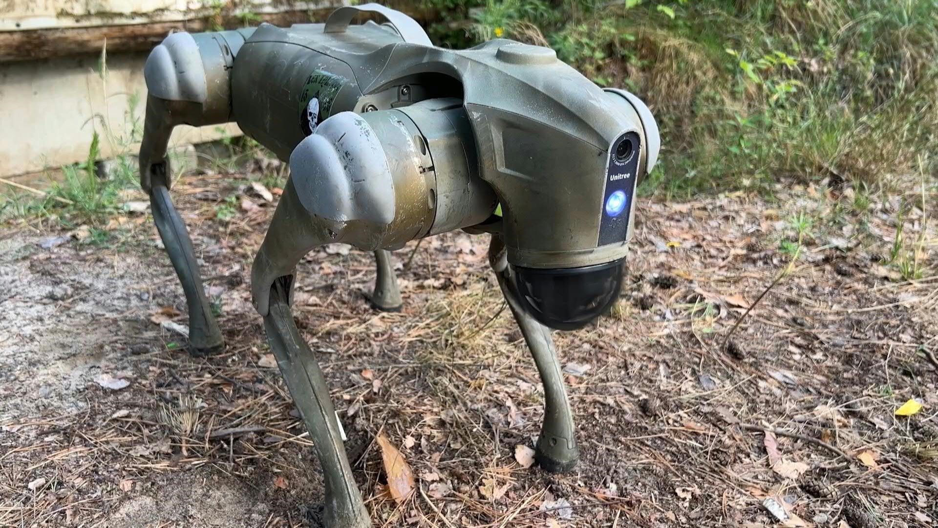 Rusya-Ukrayna Savaşı'nda Robot Teknolojileri: BAD One ve Askeri Robot Köpekler